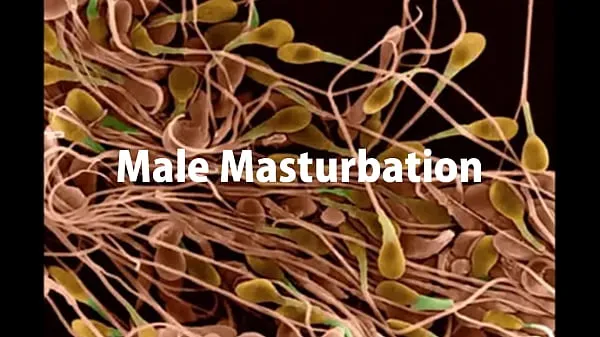 XXX Male Masturbation mega Film