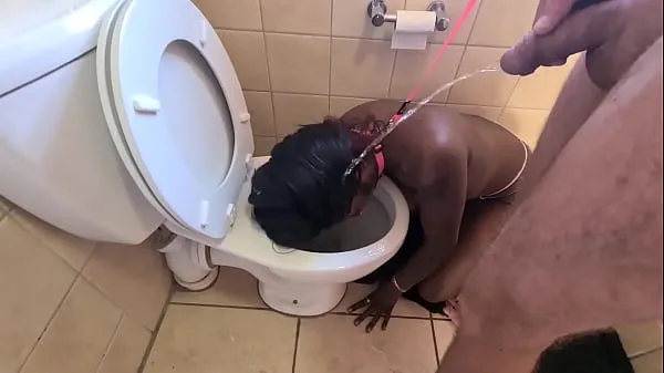 XXX Desi Hure wird wie ein Hund zur Toilette geführt, um ihr Gesicht voll zu machen und einen Schwanz zu lutschen Megafilme